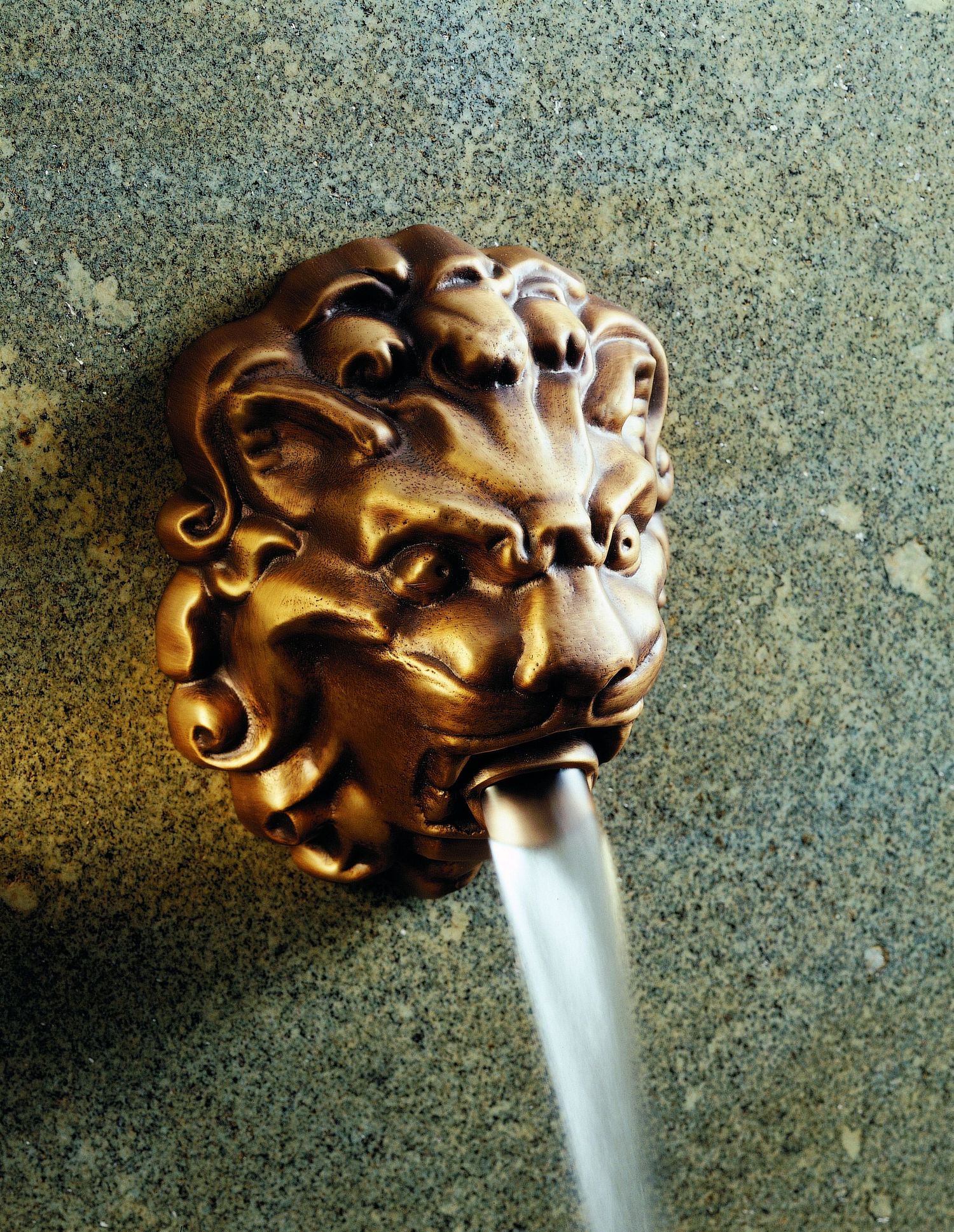 Lion's head G99 — Collections — THG